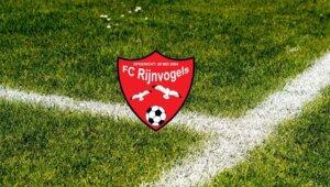 Ce congolais prolonge avec son club Pays-Bas