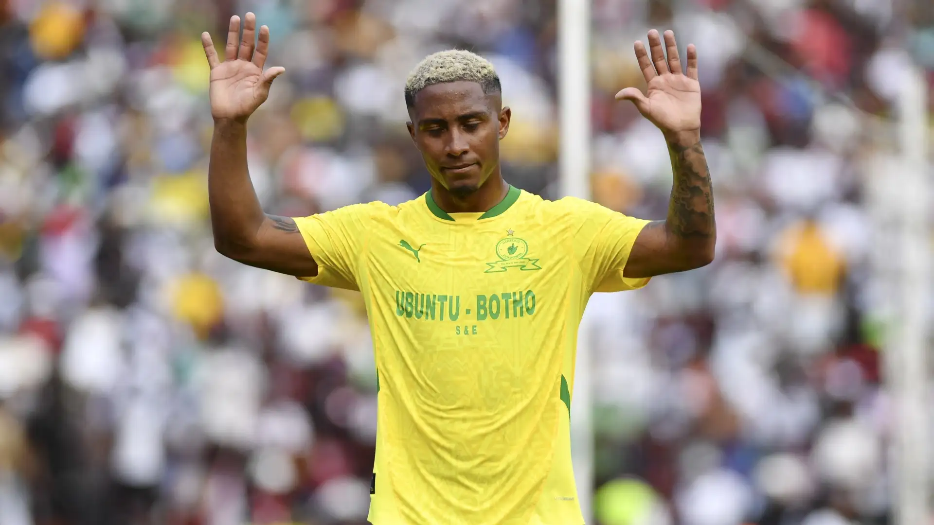 Ribeiro