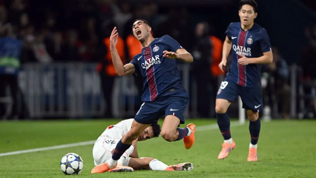 Mushukning yuqori sifatli fotosurati