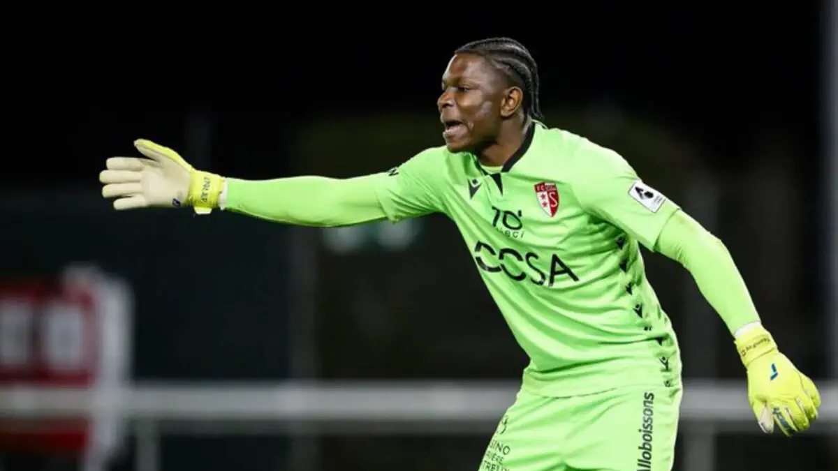 تيموثي فايولو