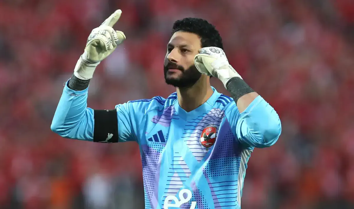أحمد الشناوي