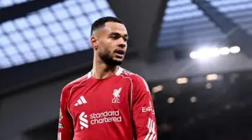 Cody Gakpo pousse pour quitter Liverpool