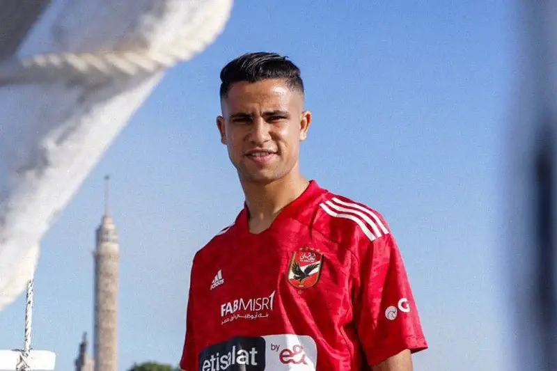 رضا سليم