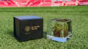 Manchester United: pieces of Old Trafford pitch sold for €145