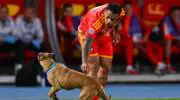 "Having a Lovely Time": Bizarre Dog Pitch Invasion Halts UEFA Nations League Tie
